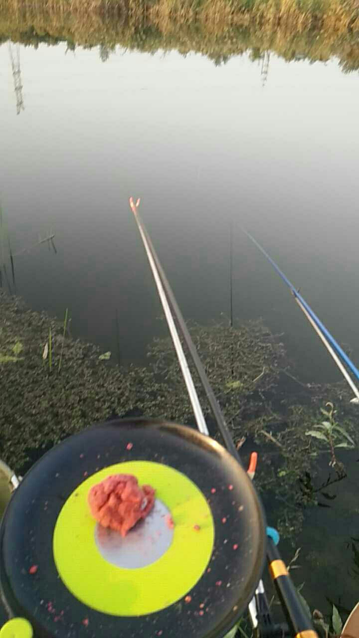 古黄河张油坊段