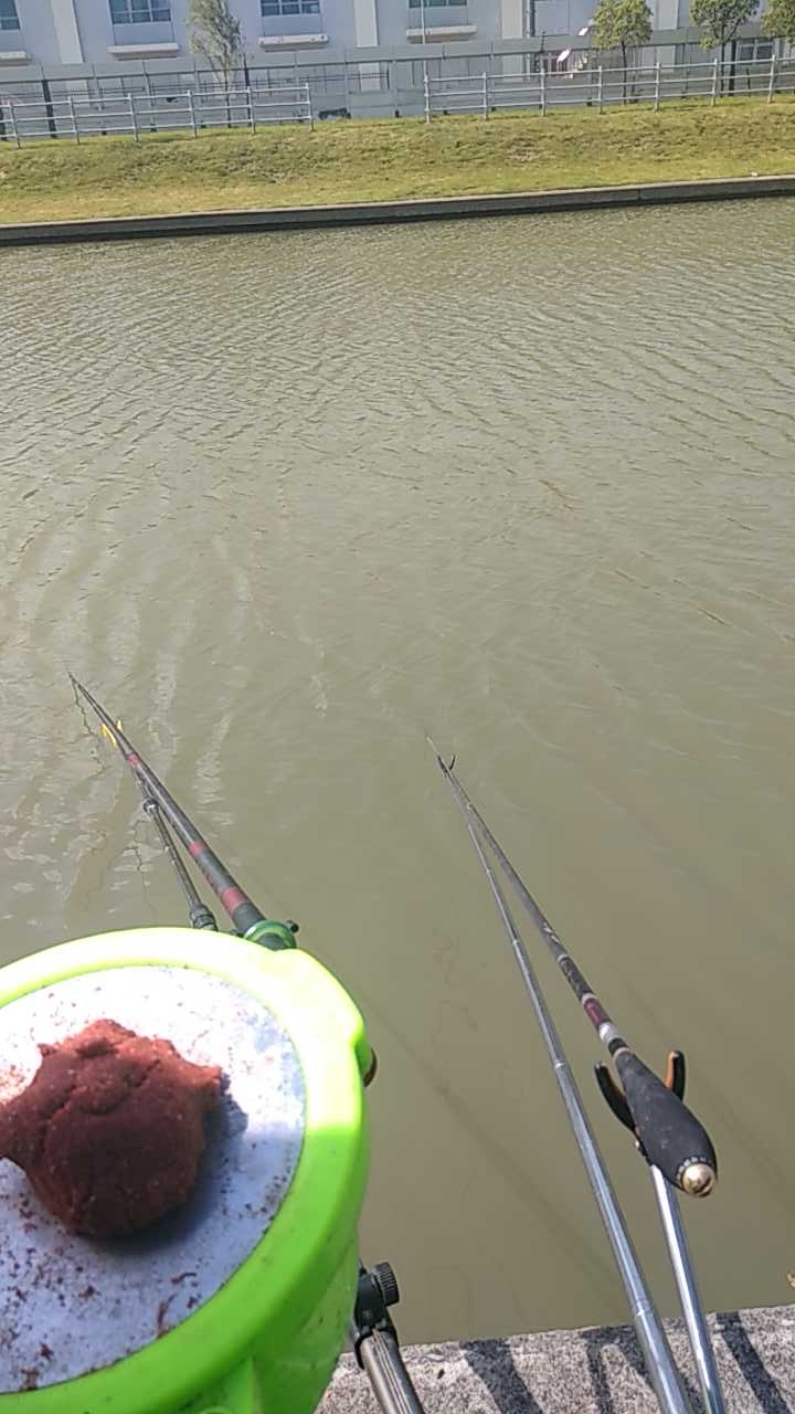 利群敬老院旁边野河