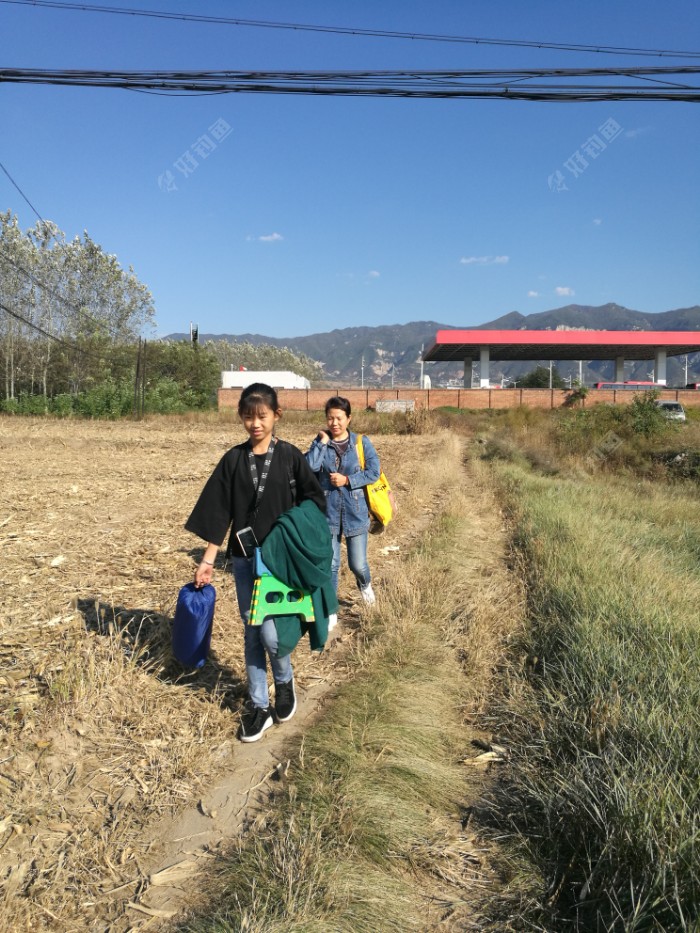 风和日丽艳阳天