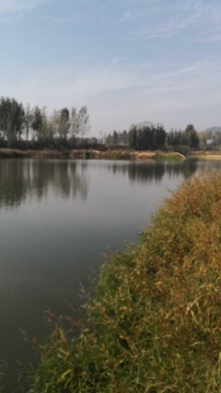 方城独树刘营沙场