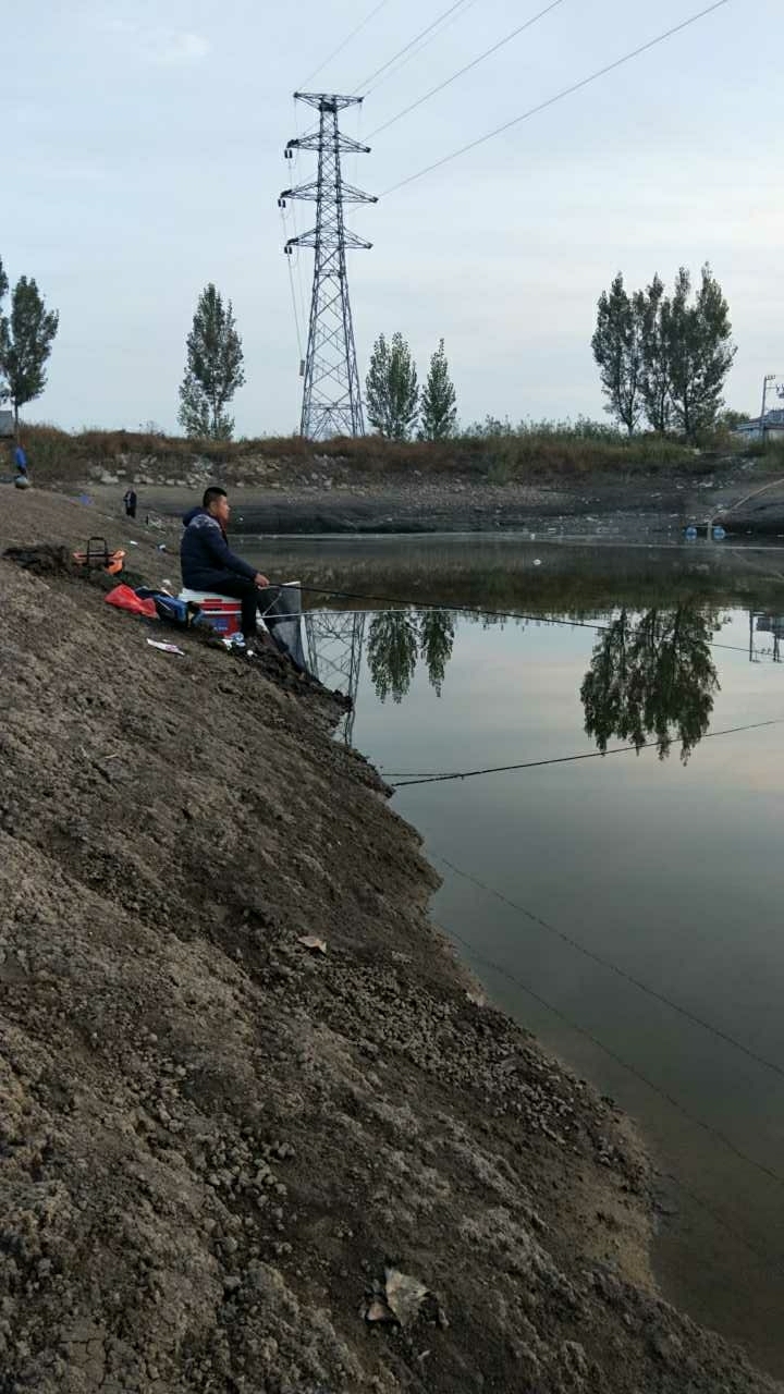 白古屯服务区外