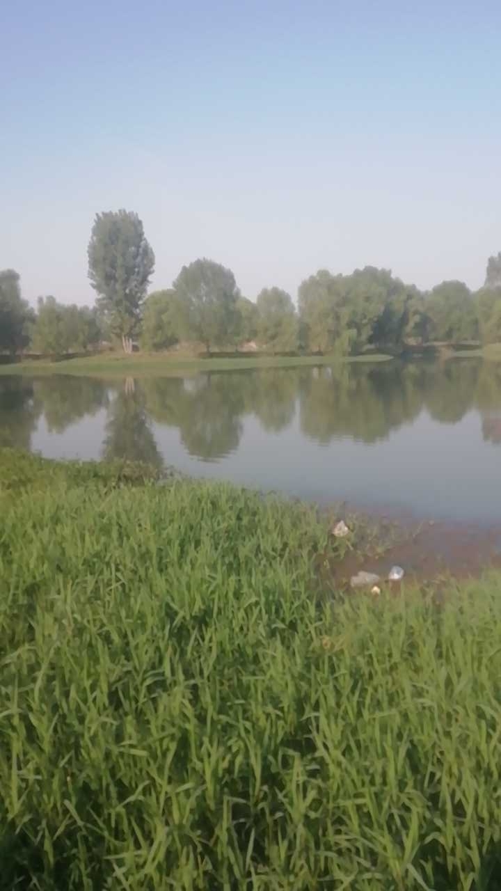 沁阳双蘑村东沙坑