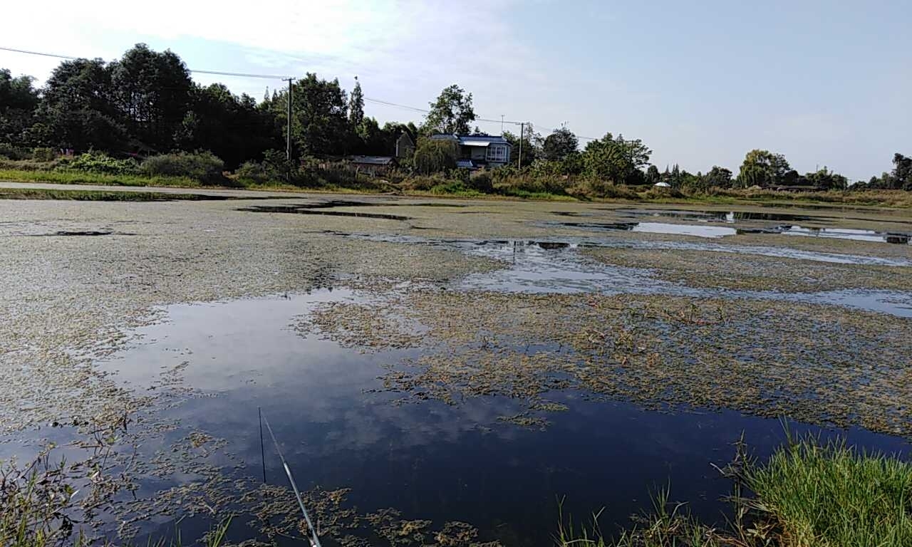 九尺镇18大队沙坑