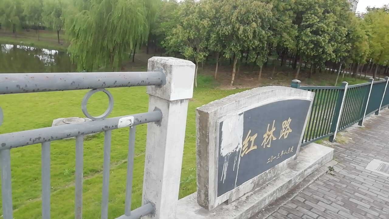 红林路