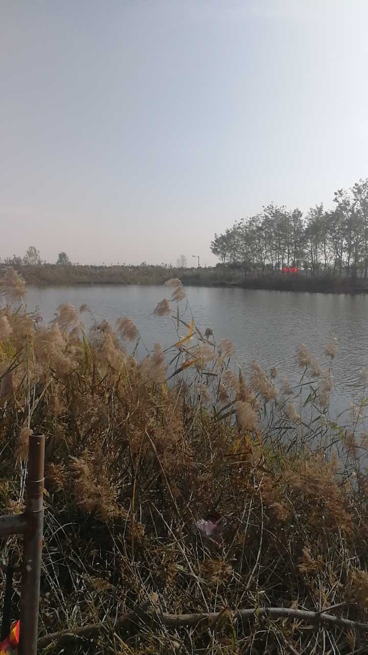 鱼多多钓鱼基地