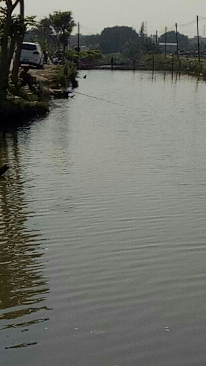 圆点休闲渔乐场