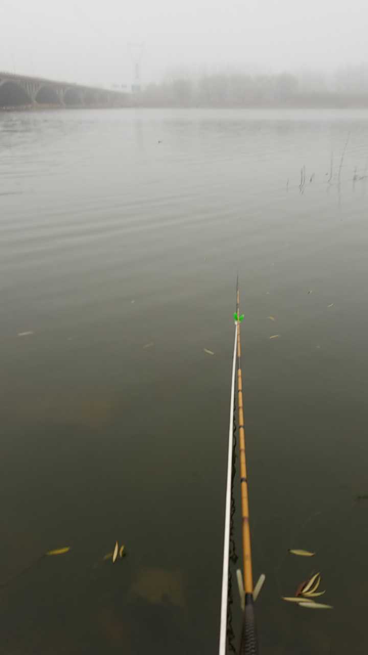 一烟台湿地公园