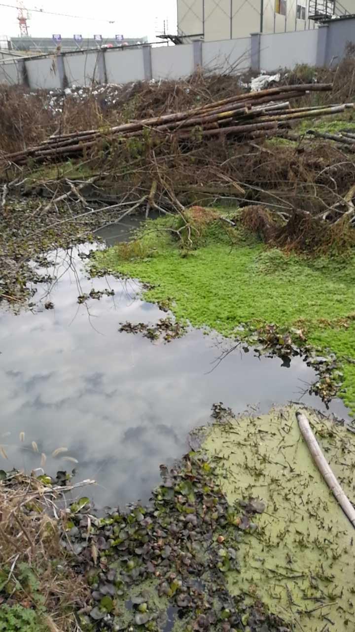 北环西路广元路交叉口西三百米