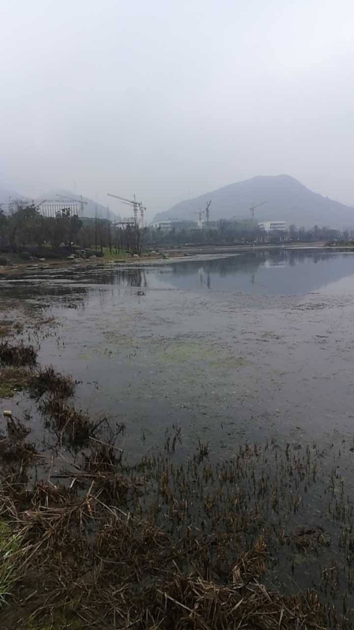 鸣庄潭湿地公园