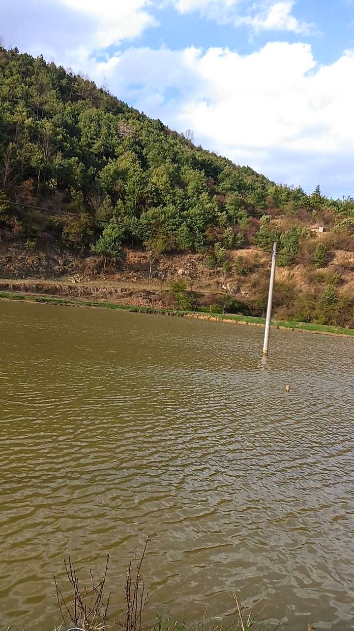 六盘水钓场_六盘水市钓场大全_六盘水市能钓鱼的地方