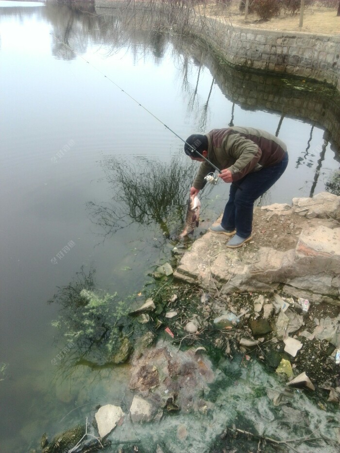 感谢热心钓友帮俺拍照留念✌。