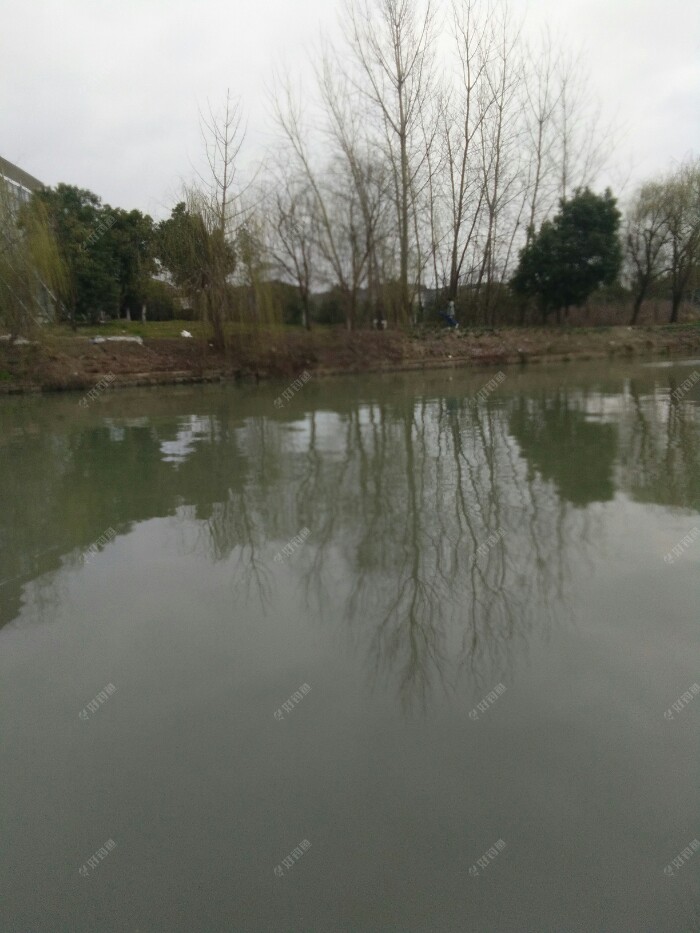 这左边也有钓友