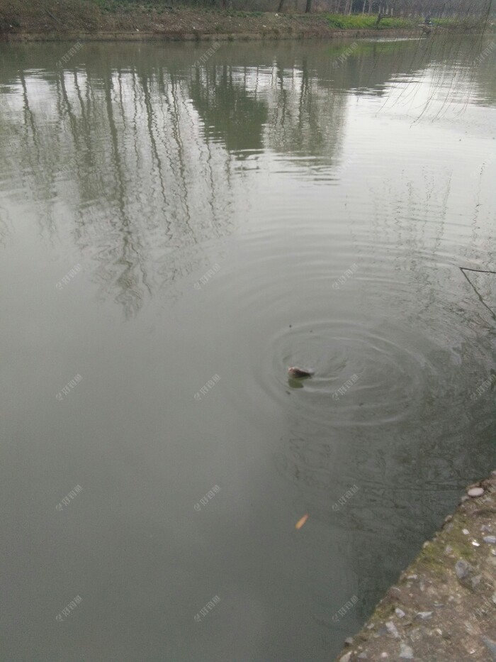 自己一边溜着一边拍照