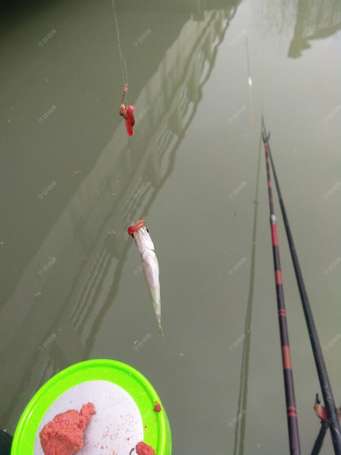 第三条还是餐条