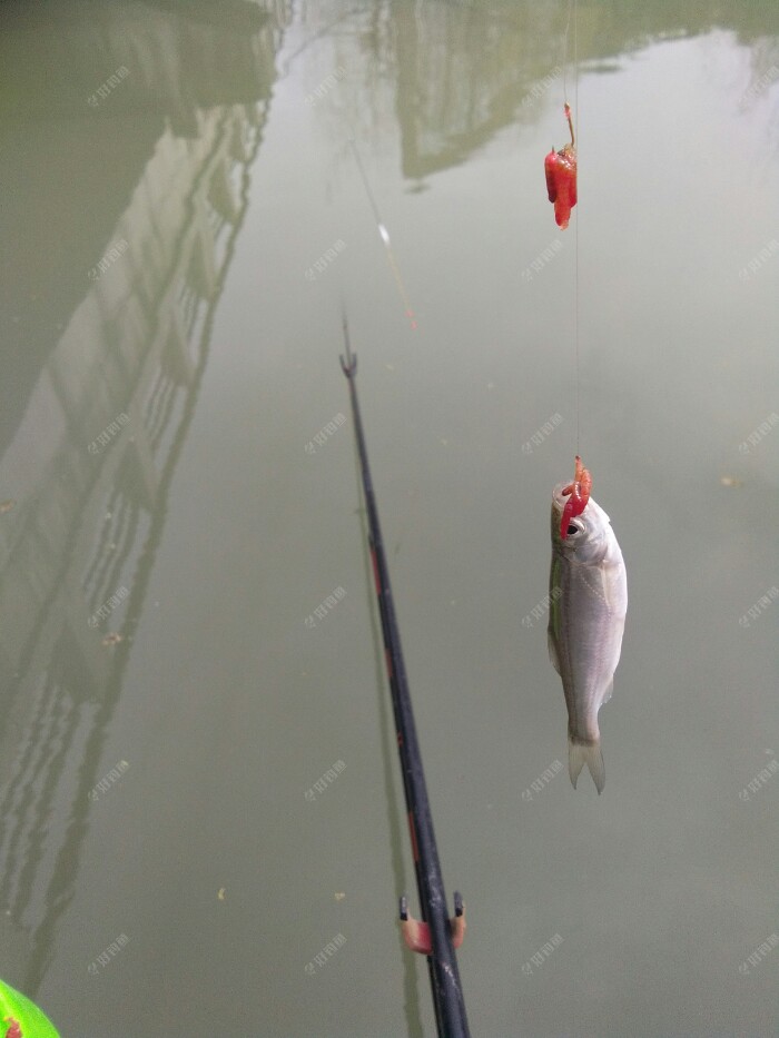 第二条还是餐条