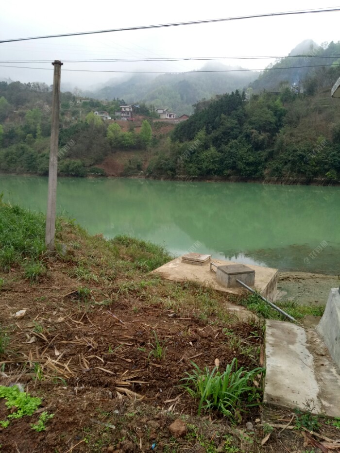 这个老钓位也离水面很高，不适合