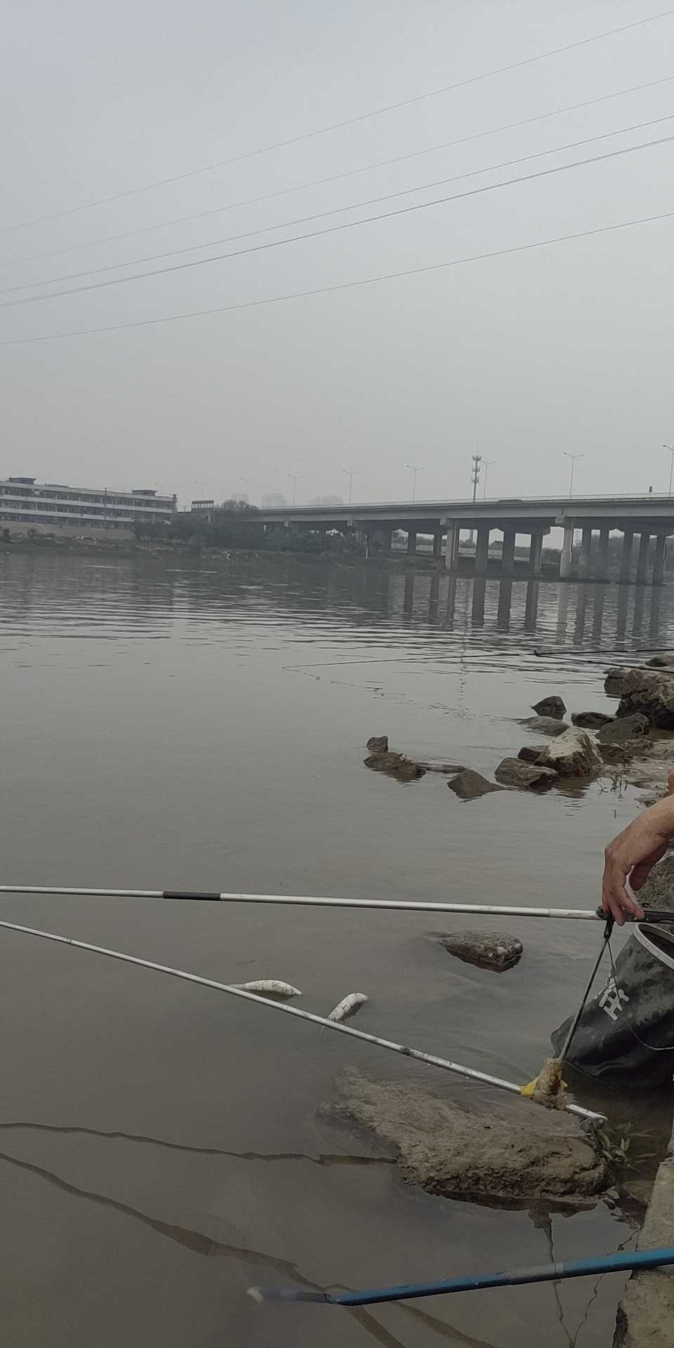 禅西大道吉利涌大桥