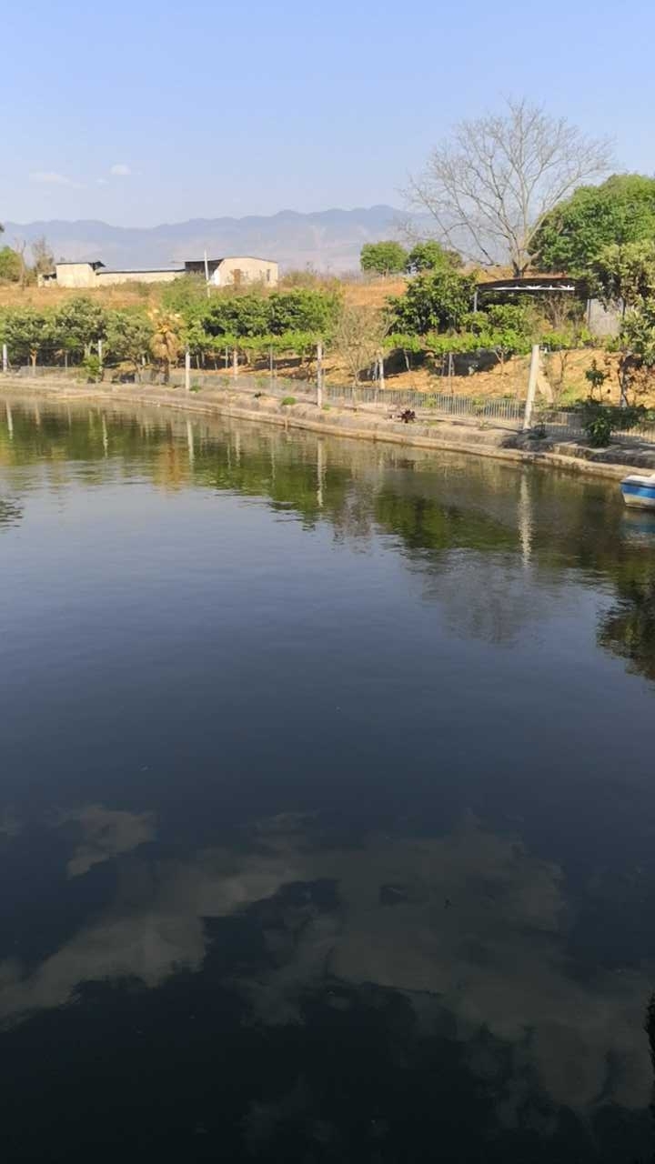 普格县金洞子农家乐