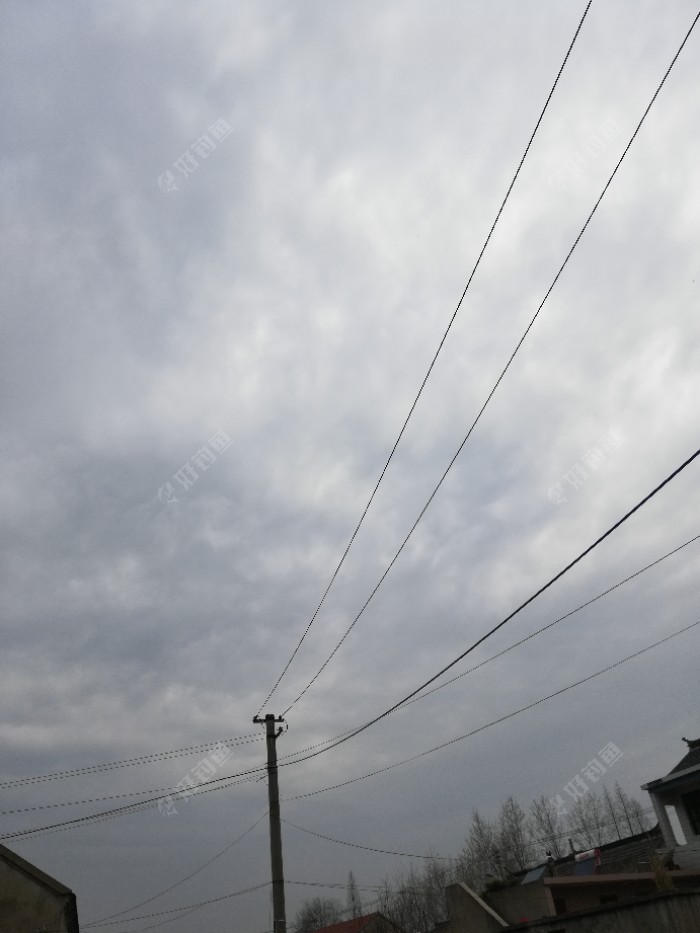 实地天气