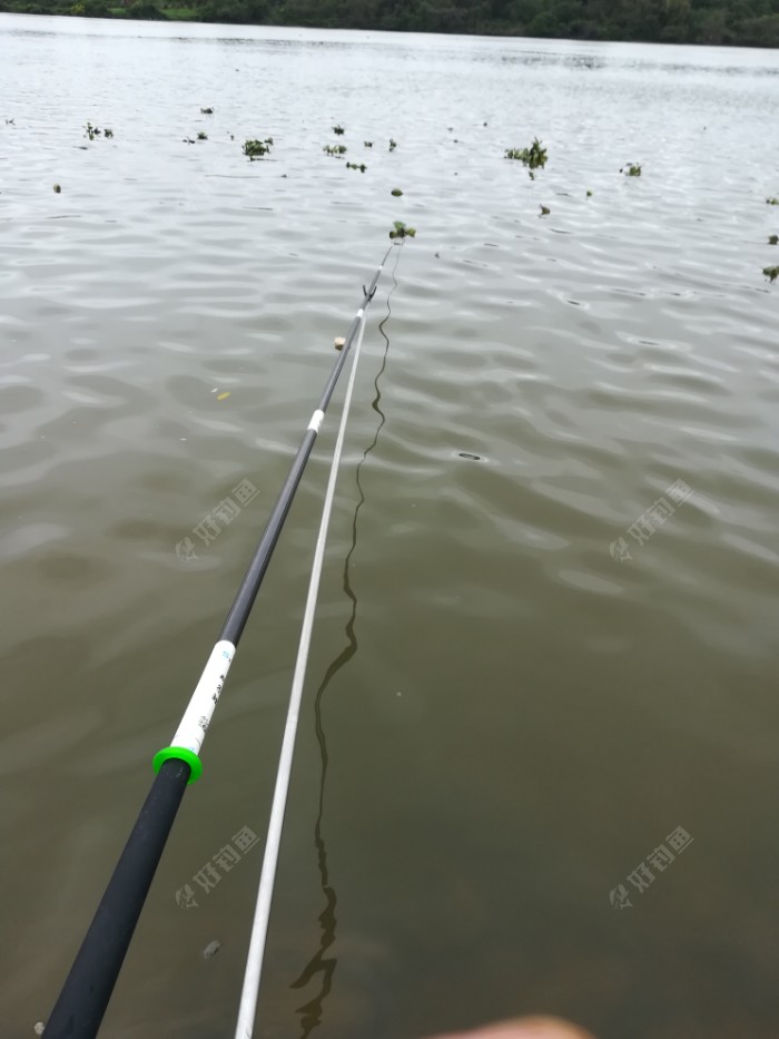 IMG_20190324_124031.jpeg