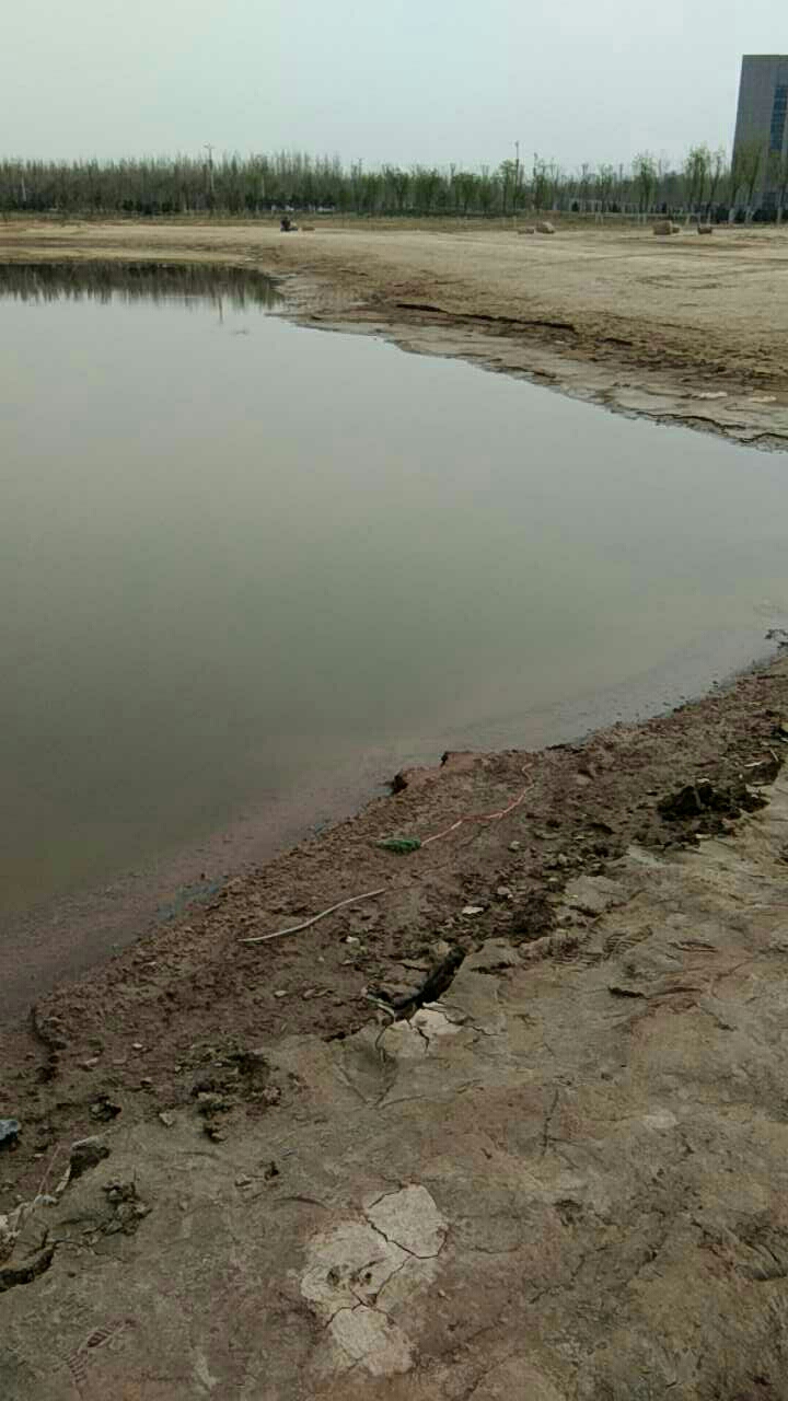 大名县北湖公园