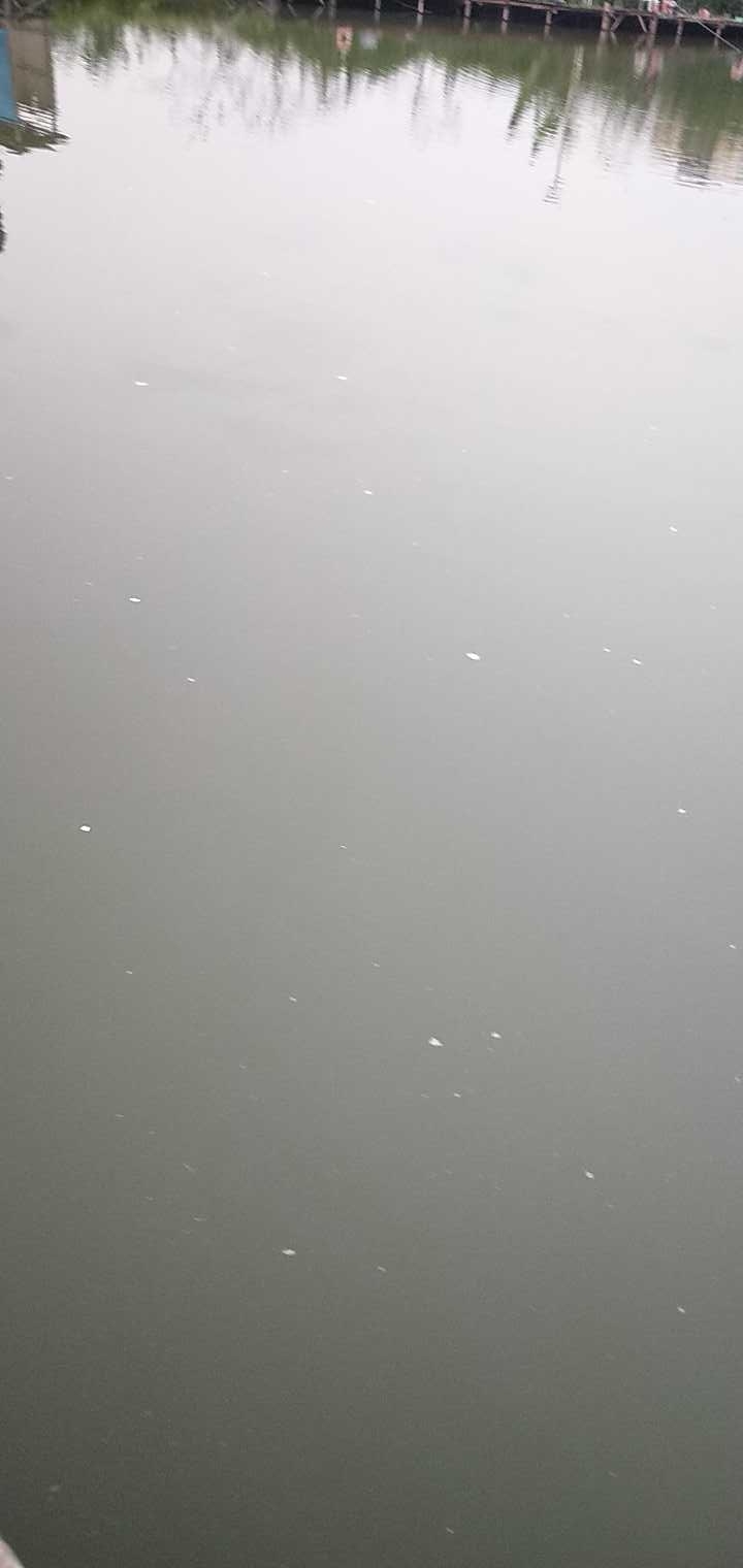 大南山三坑钓鱼台