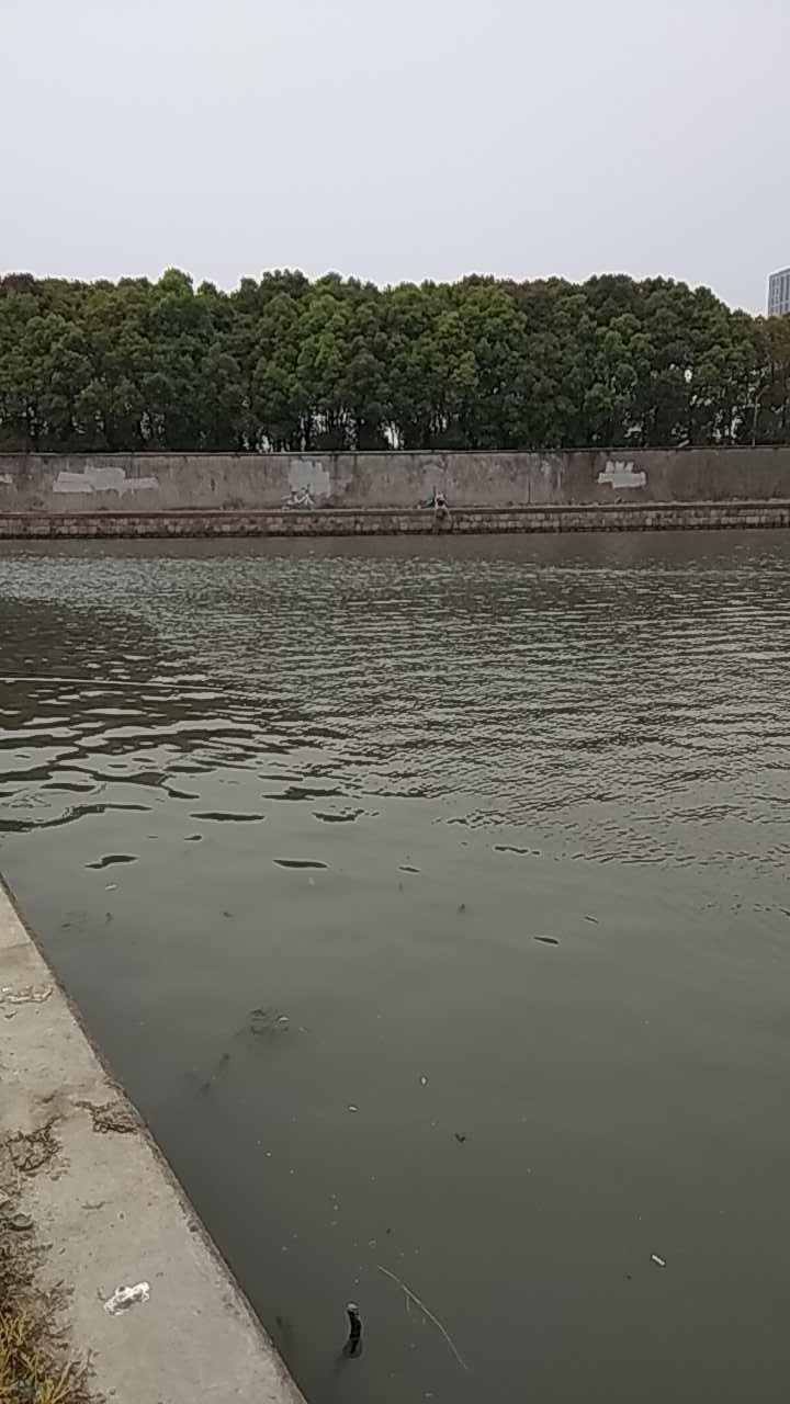 九洲世贸食品酒店用品边小河