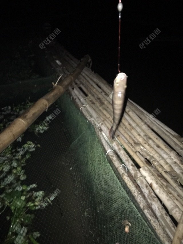 真是没完没了一直点动又没有