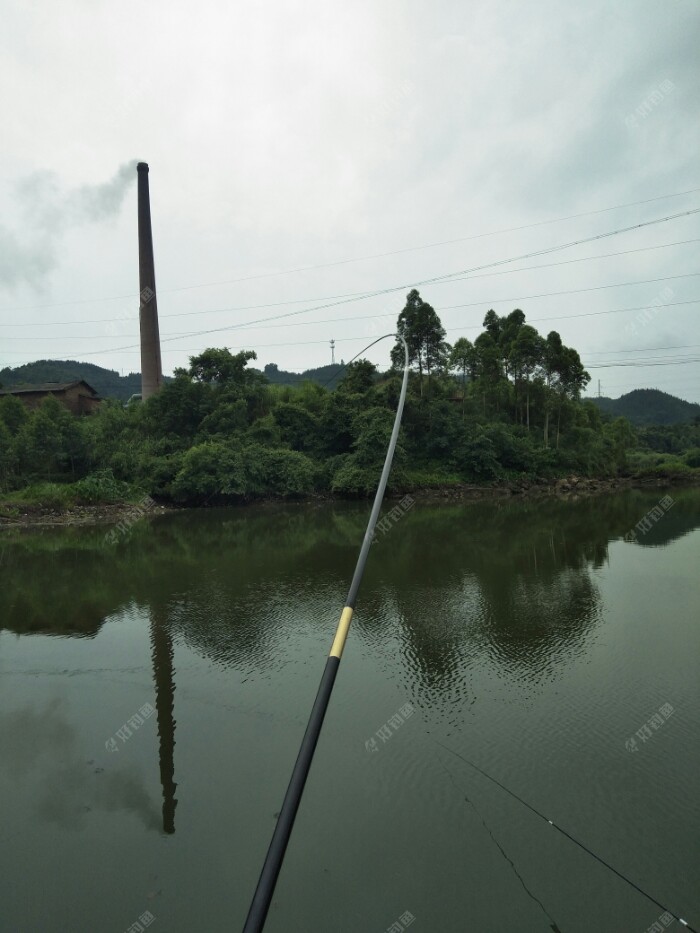 大弯弓来了。马上拿出手机拍照。