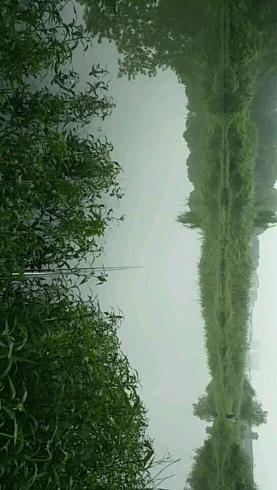 黑熊基地背后毗河岔口