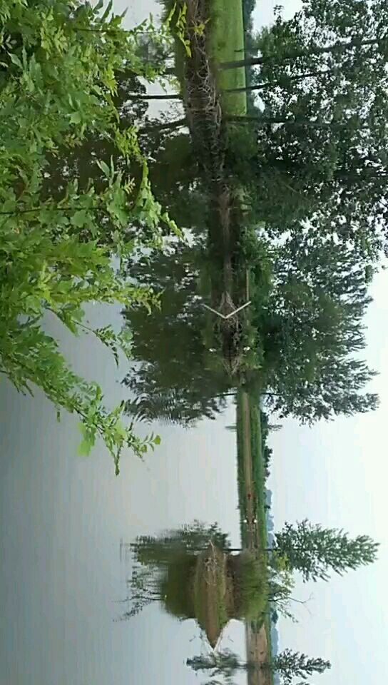 八里姜姜寨垂钓中心