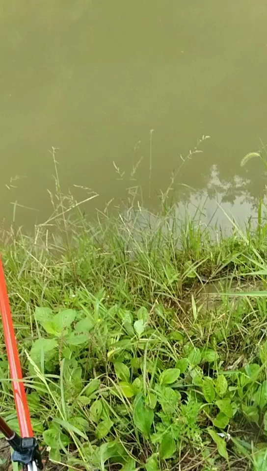 沙坝沟淡水钓鱼场