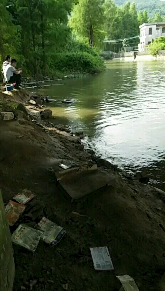 西部沿海高速桥下