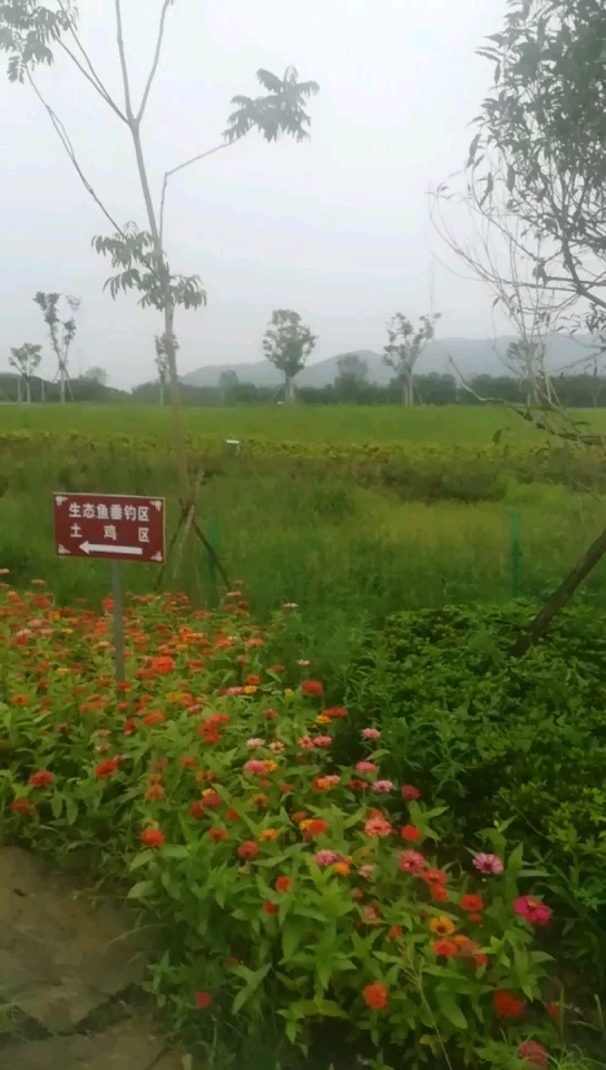 海丰花园垂钓区