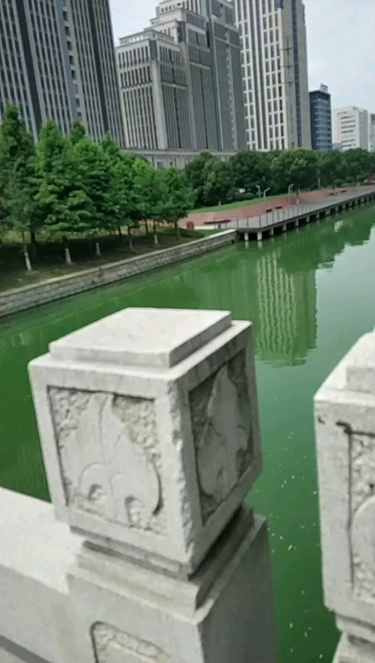 苏州相城大道旁