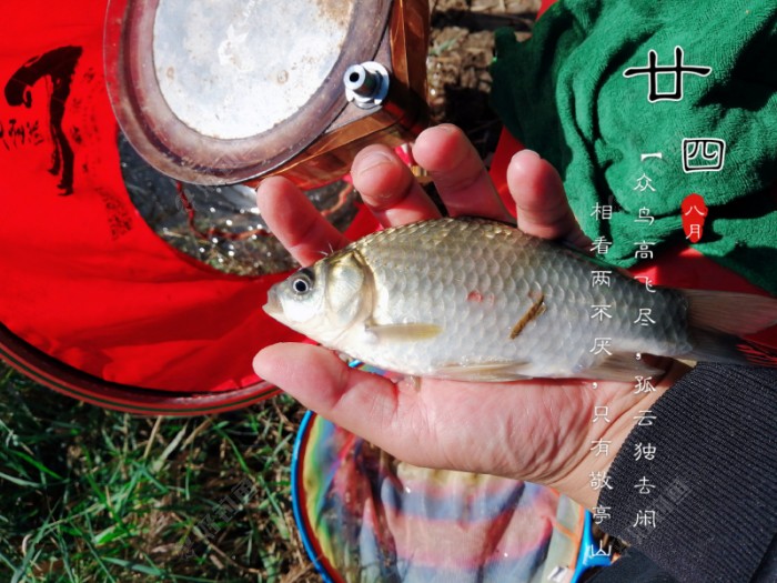 这条像那么回事！