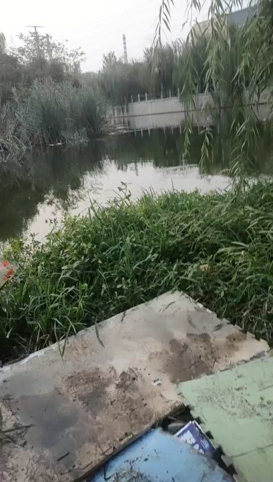 济南小清河五柳岛