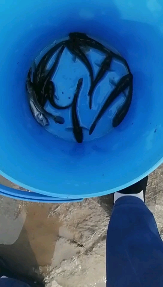 高速路东边公园