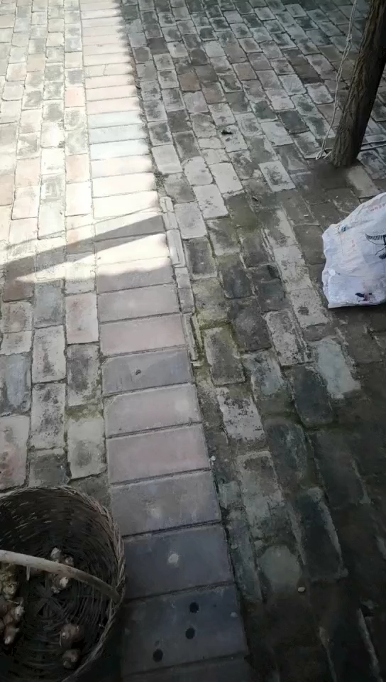 蟠龙镇木家坪村