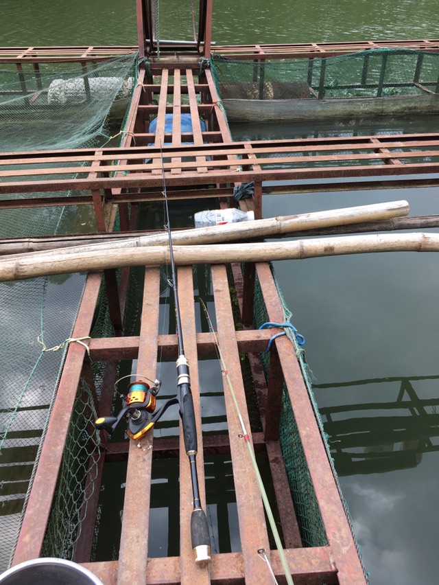 15点多了干脆又换到外面试试