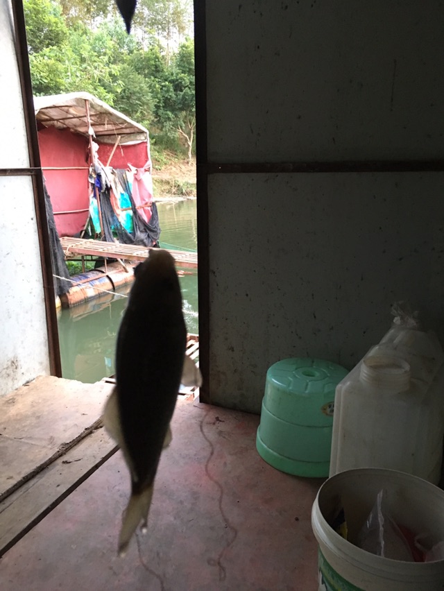 这是勾到眼睛旁边的部位