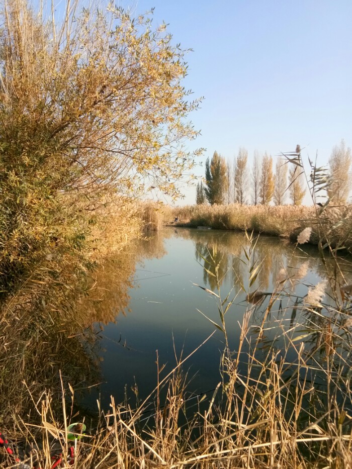 乌苏市西湖泉水钓鱼岛