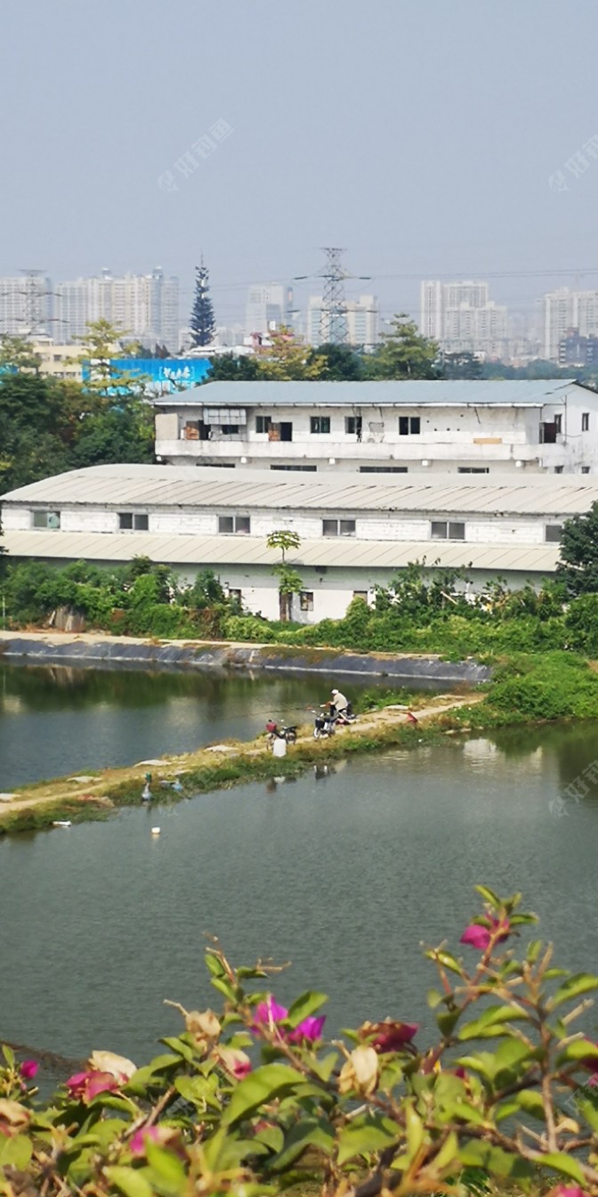 我钓海竿也钓不了啦，没有什