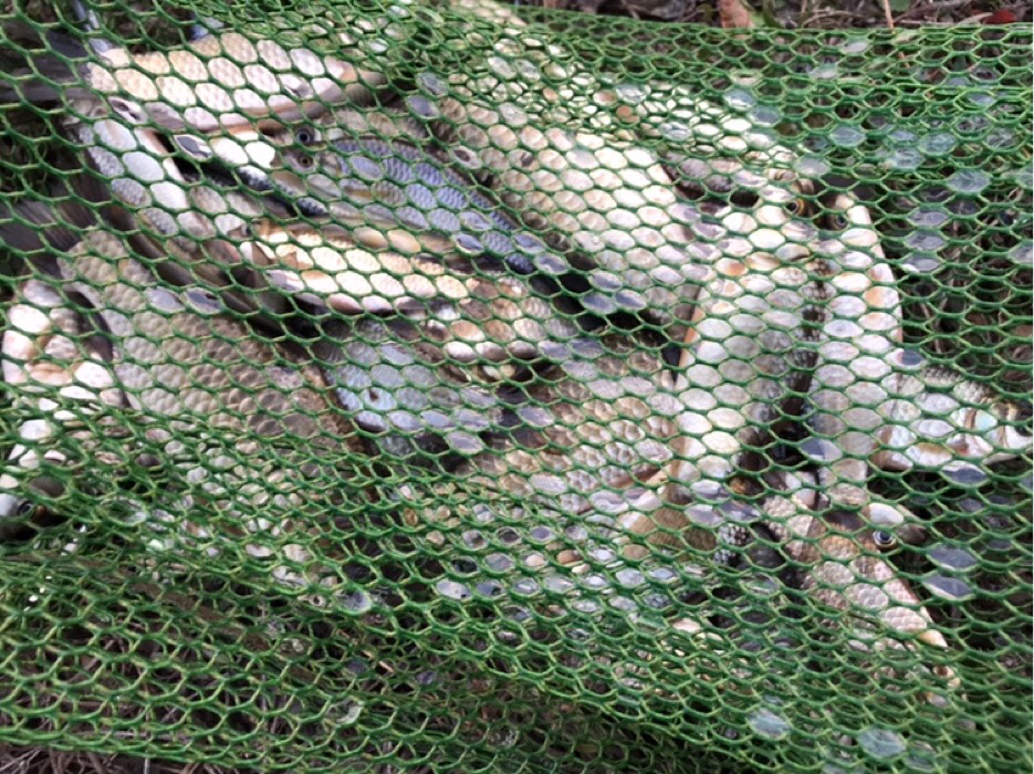 cjd0iVbu1M6vjRcPHFfOED89-oW5y.jpg