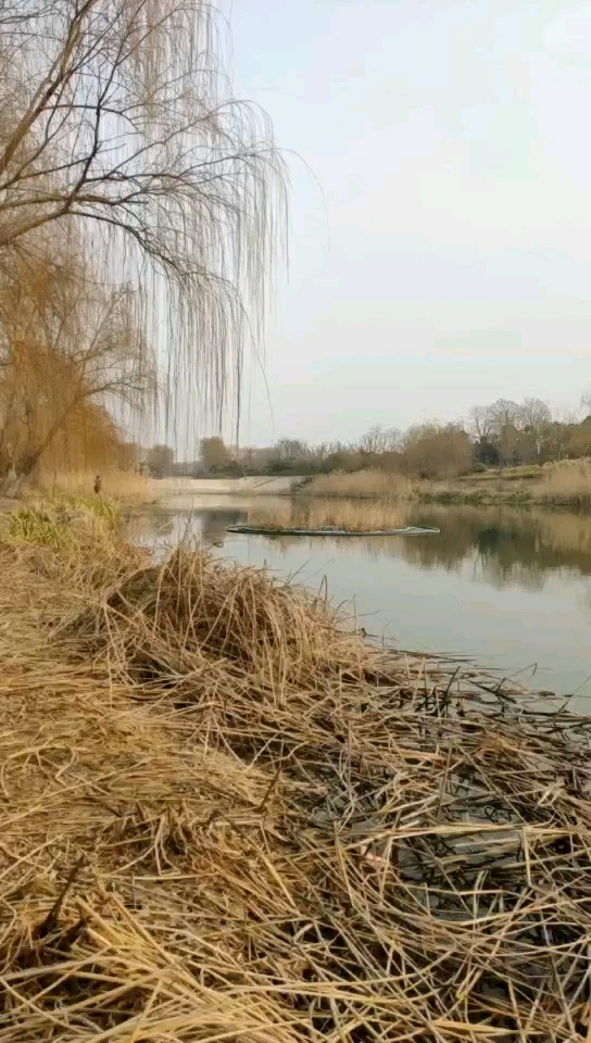 鸿福路和水渠路交叉口