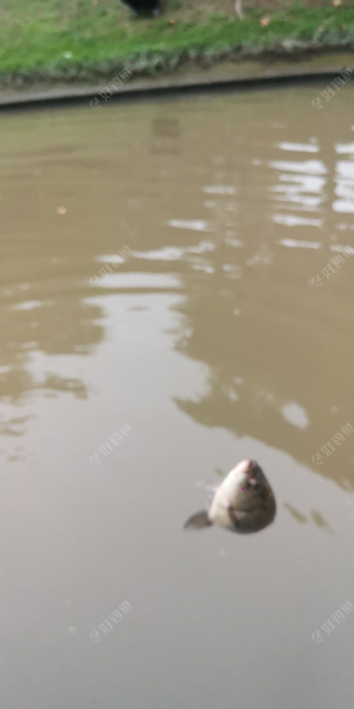 cjd0iVPbFM1K4LH3Ni2sZEg9vkRW-.jpeg