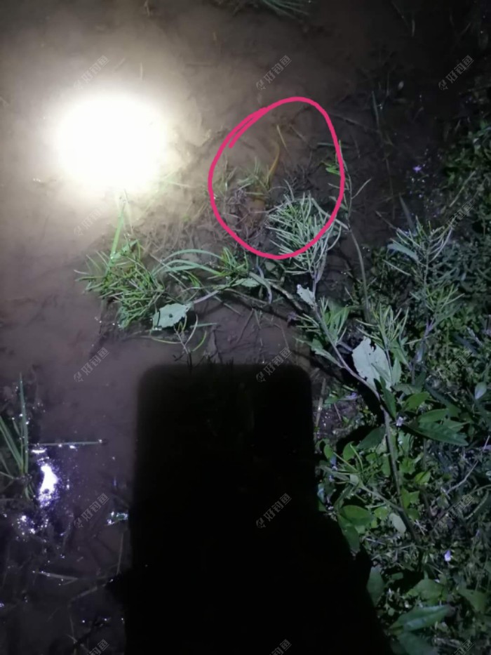 小样的！以为伪装成这样我就认不出你来了？?