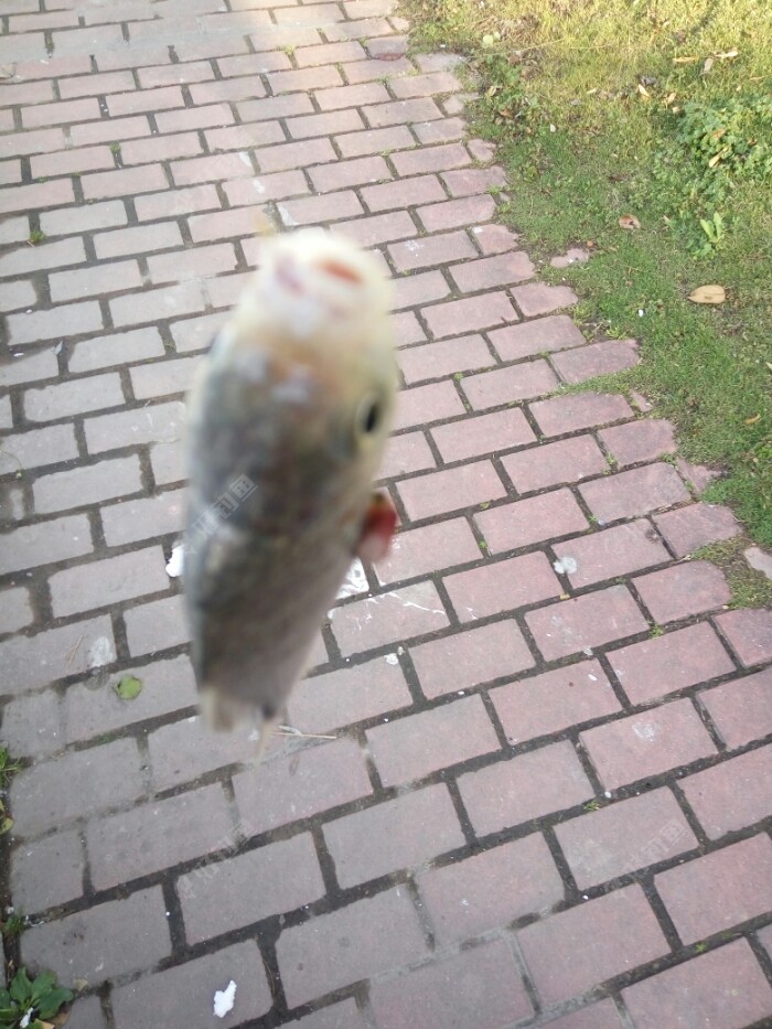 cjd0iVQDvJwk2hCdUcL3SmlHyEs9q.jpeg