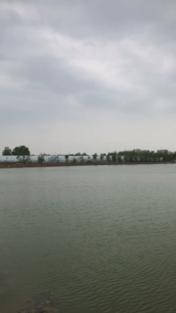 罗塘现代垂钓中心