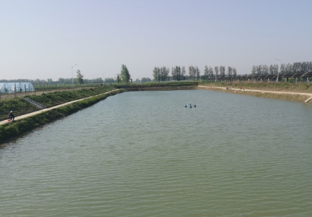 瓦店绿源垂钓园